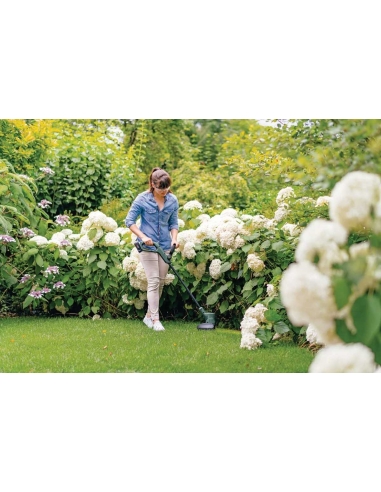 TAILLE-HAIE SUR PERCHE À ACCU 18V...