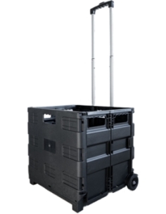 TROLLEY BOX PLIABLE SUR...