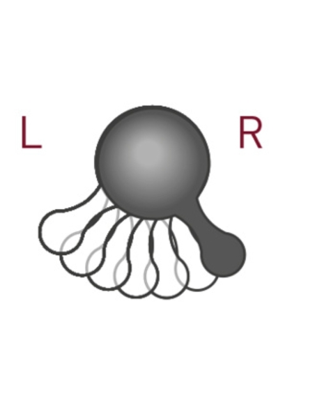 CLÉ MIXTE À CLIQUET RÉVERSIBLE CLICKRAFT 10 MM - KRAFTWERK